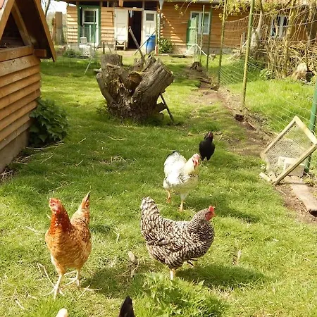 Hobbyhof Nahe Plau Am Vakantiehuis Kressin